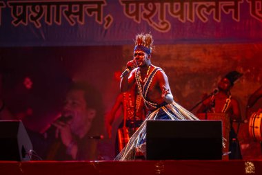 Puşkar, Rajasthan, Hindistan - 11 Kasım 2024: Halk dansı, Hintli erkek ve kadın sanatçılardan oluşan bir grup, Chhattisgarh eyaletinin rengarenk etnik kıyafetleriyle sokak dansı yapıyorlar.