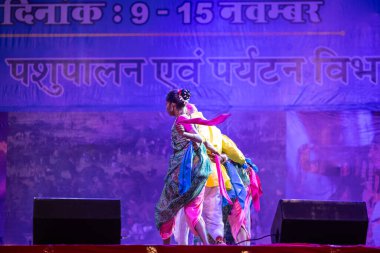 Puşkar, Rajasthan, Hindistan - 11 Kasım 2024: Halk dansı, Hintli erkek ve kadın sanatçılardan oluşan bir grup, Chhattisgarh eyaletinin rengarenk etnik kıyafetleriyle sokak dansı yapıyorlar.