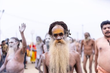 Prayagraj, Uttar Pradesh, Hindistan - 14 Ocak 2025: Mahakumbh, Mahakumbh, Kutsal Naga sadhu baba grubu.
