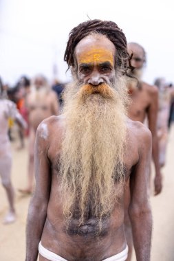 Prayagraj, Uttar Pradesh, Hindistan - 14 Ocak 2025: Mahakumbh, Mahakumbh, Kutsal Naga sadhu baba grubu.
