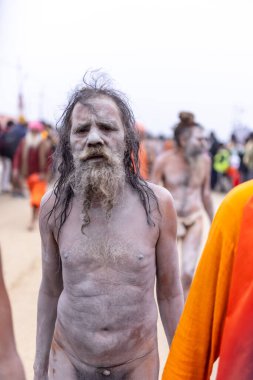 Prayagraj, Uttar Pradesh, Hindistan - 14 Ocak 2025: Mahakumbh, Mahakumbh, Kutsal Naga sadhu baba grubu.
