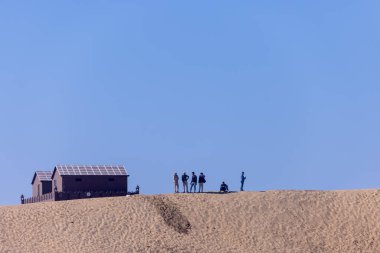 Puşkar, Rajasthan, Hindistan - 10 Kasım 2024: Deve ticareti için develer fuarı sırasında çöl panayırı.