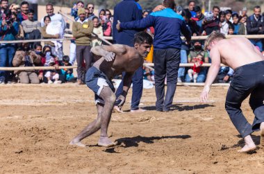 Bikaner, Rajasthan, Hindistan - 15 Ocak 2023: Bikaner 'deki çöl zemininde süslü develerin portresi.