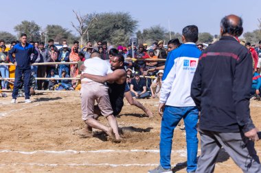 Bikaner, Rajasthan, Hindistan - 15 Ocak 2023: Bikaner 'deki çöl zemininde süslü develerin portresi.