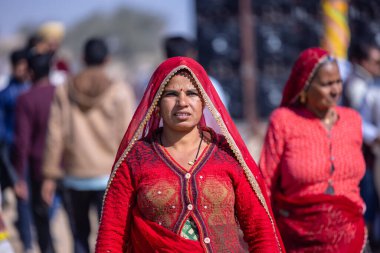 Bikaner, Rajasthan, Hindistan - 15 Ocak 2023: Bikaner 'deki çöl zemininde süslü develerin portresi.