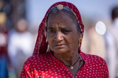 Bikaner, Rajasthan, Hindistan - 15 Ocak 2023: Bikaner 'deki çöl zemininde süslü develerin portresi.