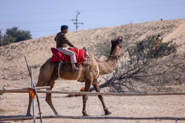 Bikaner, Rajasthan, Hindistan - 15 Ocak 2023: Bikaner 'deki çöl zemininde süslü develerin portresi.