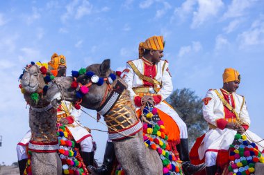 Bikaner, Rajasthan, Hindistan - 15 Ocak 2023: Bikaner 'deki çöl zemininde süslü develerin portresi.