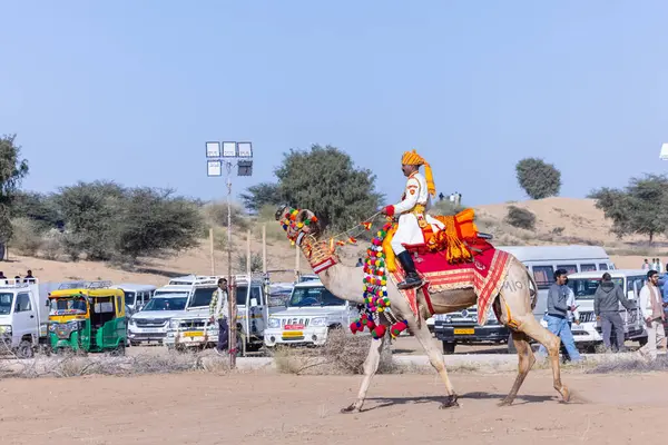 Bikaner, Rajasthan, Hindistan - 15 Ocak 2023: Bikaner 'deki çöl zemininde süslü develerin portresi.