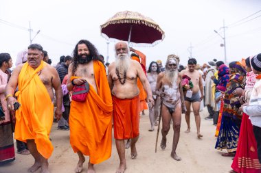 Prayagraj, Uttar Pradesh, Hindistan - 14 Ocak 2025: Mahakumbh, Mahakumbh, Kutsal Naga sadhu baba grubu.
