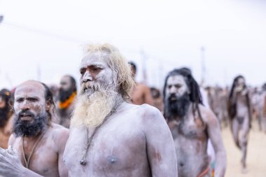 Prayagraj, Uttar Pradesh, Hindistan - 14 Ocak 2025: Mahakumbh, Mahakumbh, Kutsal Naga sadhu baba grubu. 