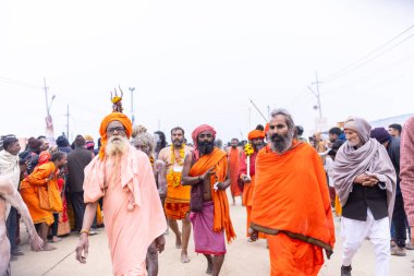 Prayagraj, Uttar Pradesh, Hindistan - 14 Ocak 2025: Mahakumbh, Mahakumbh, Kutsal Naga sadhu baba grubu. 