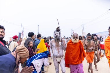 Prayagraj, Uttar Pradesh, Hindistan - 14 Ocak 2025: Mahakumbh, Mahakumbh, Kutsal Naga sadhu baba grubu. 