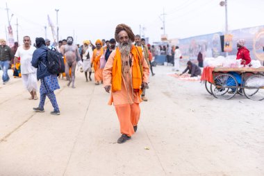 Prayagraj, Uttar Pradesh, Hindistan - 14 Ocak 2025: Mahakumbh, Mahakumbh, Kutsal Naga sadhu baba grubu.