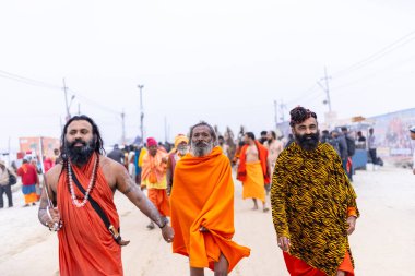 Prayagraj, Uttar Pradesh, Hindistan - 14 Ocak 2025: Mahakumbh, Mahakumbh, Kutsal Naga sadhu baba grubu.