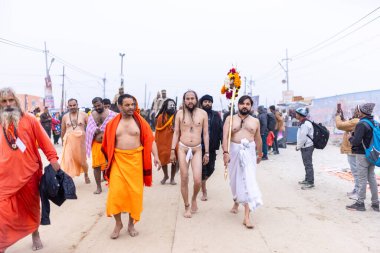 Prayagraj, Uttar Pradesh, Hindistan - 14 Ocak 2025: Mahakumbh, Mahakumbh, Kutsal Naga sadhu baba grubu.