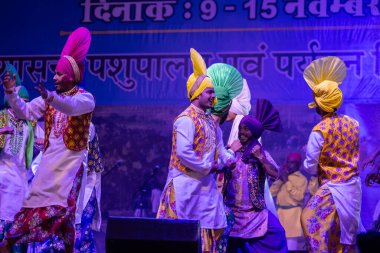 Puşkar, Rajasthan, Hindistan - 11 Kasım 2024: Bhangra, Bhangra grubu, açık hava kültür gecesi renkli etnik elbiseler içinde bhangra dansı yapıyor.