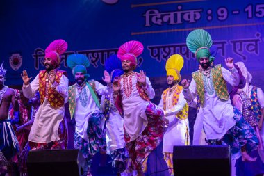 Puşkar, Rajasthan, Hindistan - 11 Kasım 2024: Bhangra, Bhangra Sanatçılar Grubu, renkli etnik elbiseler içinde dans ediyorlar..