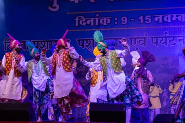Puşkar, Rajasthan, Hindistan - 11 Kasım 2024: Bhangra, Bhangra Sanatçılar Grubu, renkli etnik elbiseler içinde dans ediyorlar..