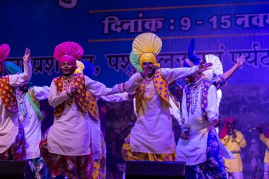 Puşkar, Rajasthan, Hindistan - 11 Kasım 2024: Bhangra, Bhangra Sanatçılar Grubu, renkli etnik elbiseler içinde dans ediyorlar..