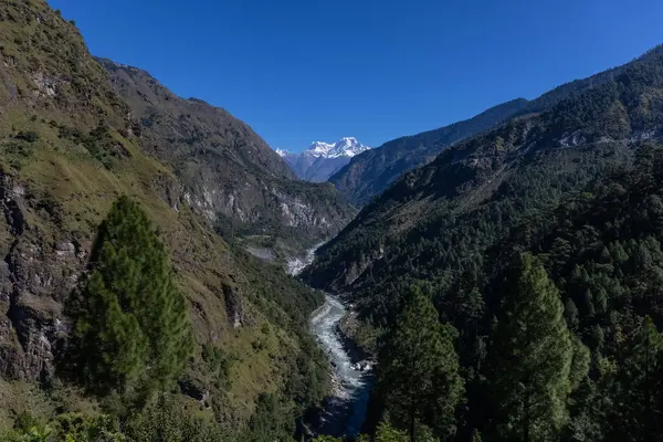 Himalaya, Himalaya dağlarının panoramik manzarası. Himalaya Dağları 'nın kışın Kedarnath Vadisi' ndeki manzarası.  