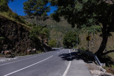 Himalaya, Himalaya dağlarının panoramik manzarası. Himalaya Dağları 'nın kışın Kedarnath Vadisi' ndeki manzarası.  