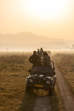 Jim Corbett, Uttarakhand, Hindistan - 09 Nisan 2023: Corbett Milli Parkı 'ndaki Dhikala bölgesinin çayırlarında çalışan Safari cipi.