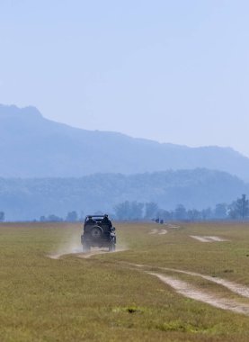 Jim Corbett, Uttarakhand, Hindistan - 09 Nisan 2023: Corbett Milli Parkı 'ndaki Dhikala bölgesinin çayırlarında çalışan Safari cipi.