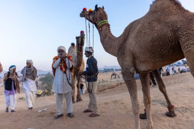 Bikaner, Rajasthan, Hindistan - 15 Ocak 2023: Siluet konsepti, gökyüzünün altındaki tepelerin tepesinde duran develer. Kimliği belirlenemeyen kişi.