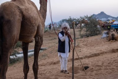 Puşkar, Rajasthan, Hindistan - Kasım 09 2024: Geleneksel giysili rajasthani erkek portresi çöl panayırında deve fuarı sırasında deve ticareti sırasında sarıklı.