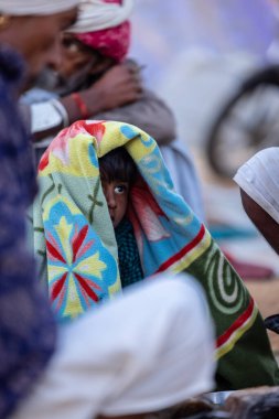 Pushkar Fuarı, deve festivali sırasında kum tepelerinin çöl zemininde deve süslemesi