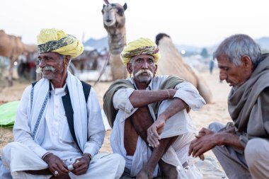 Puşkar, Rajasthan, Hindistan - Kasım 09 2024: Geleneksel giysili rajasthani erkek portresi çöl panayırında deve fuarı sırasında deve ticareti sırasında sarıklı.