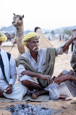 Puşkar, Rajasthan, Hindistan - Kasım 09 2024: Geleneksel giysili rajasthani erkek portresi çöl panayırında deve fuarı sırasında deve ticareti sırasında sarıklı.