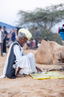 Puşkar, Rajasthan, Hindistan - Kasım 09 2024: Geleneksel giysili rajasthani erkek portresi çöl panayırında deve fuarı sırasında deve ticareti sırasında sarıklı.