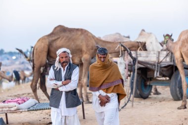 Puşkar, Rajasthan, Hindistan - Kasım 09 2024: Geleneksel giysili rajasthani erkek portresi çöl panayırında deve fuarı sırasında deve ticareti sırasında sarıklı.