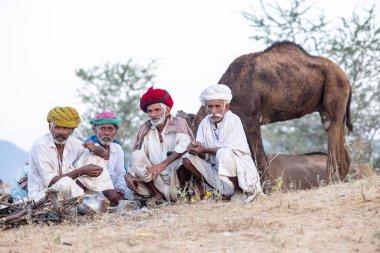 Puşkar, Rajasthan, Hindistan - Kasım 09 2024: Geleneksel giysili rajasthani erkek portresi çöl panayırında deve fuarı sırasında deve ticareti sırasında sarıklı.