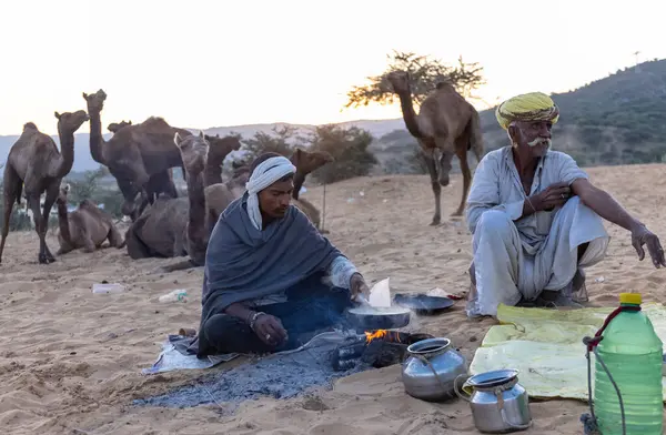 Puşkar, Rajasthan, Hindistan - Kasım 09 2024: Geleneksel giysili rajasthani erkek portresi çöl panayırında deve fuarı sırasında deve ticareti sırasında sarıklı.