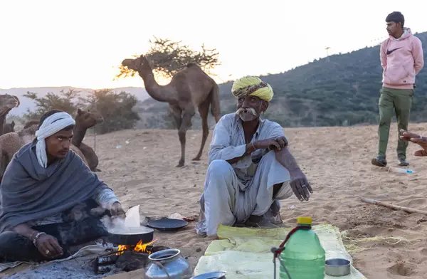 Puşkar, Rajasthan, Hindistan - Kasım 09 2024: Geleneksel giysili rajasthani erkek portresi çöl panayırında deve fuarı sırasında deve ticareti sırasında sarıklı.