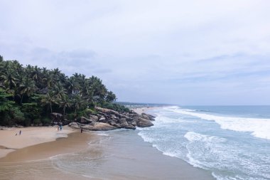 Plaj manzarası, deniz dalgaları ve hindistan cevizi ağaçlarıyla güzel bir kumsal manzarası. Doğa manzarası. 