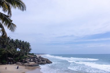 Plaj manzarası, deniz dalgaları ve hindistan cevizi ağaçlarıyla güzel bir kumsal manzarası. Doğa manzarası. 