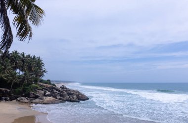 Plaj manzarası, deniz dalgaları ve hindistan cevizi ağaçlarıyla güzel bir kumsal manzarası. Doğa manzarası. 