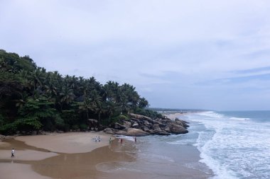 Plaj manzarası, deniz dalgaları ve hindistan cevizi ağaçlarıyla güzel bir kumsal manzarası. Doğa manzarası. 