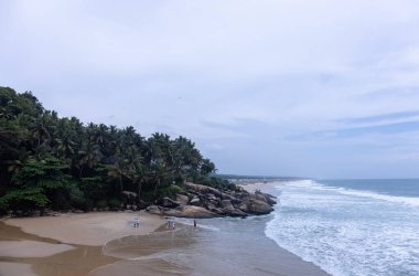 Plaj manzarası, deniz dalgaları ve hindistan cevizi ağaçlarıyla güzel bir kumsal manzarası. Doğa manzarası. 