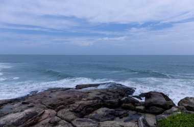 Plaj manzarası, deniz dalgaları ve hindistan cevizi ağaçlarıyla güzel bir kumsal manzarası. Doğa manzarası. 