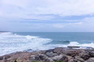 Plaj manzarası, deniz dalgaları ve hindistan cevizi ağaçlarıyla güzel bir kumsal manzarası. Doğa manzarası. 