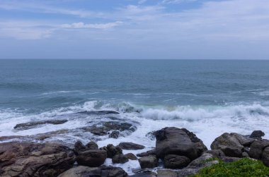 Plaj manzarası, deniz dalgaları ve hindistan cevizi ağaçlarıyla güzel bir kumsal manzarası. Doğa manzarası. 