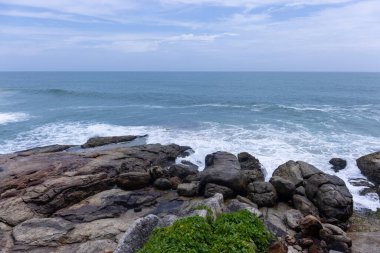 Plaj manzarası, deniz dalgaları ve hindistan cevizi ağaçlarıyla güzel bir kumsal manzarası. Doğa manzarası. 