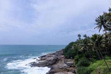 Plaj manzarası, deniz dalgaları ve hindistan cevizi ağaçlarıyla güzel bir kumsal manzarası. Doğa manzarası. 