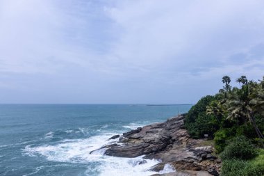 Plaj manzarası, deniz dalgaları ve hindistan cevizi ağaçlarıyla güzel bir kumsal manzarası. Doğa manzarası. 