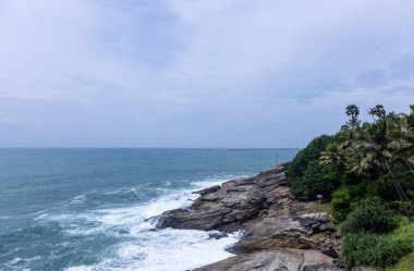 Plaj manzarası, deniz dalgaları ve hindistan cevizi ağaçlarıyla güzel bir kumsal manzarası. Doğa manzarası. 
